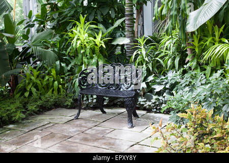 Bench in a greenhouse, Allan Gardens, Toronto, Ontario, Canada Stock Photo