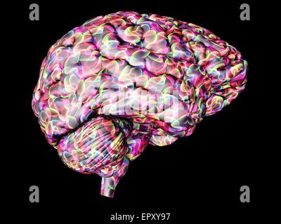 Brain Abstract computer artwork of a human brain The front of the brain ...