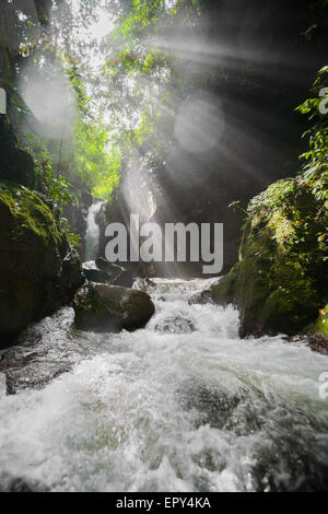 Rays of light falling onto the stream and environment below Pendung Semurup waterfall near Pendung Mudik village in Air Hangat, Kerinci, Jambi. Stock Photo