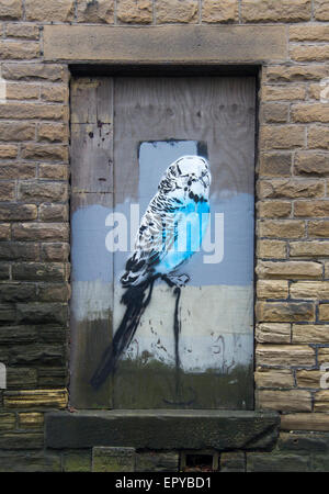 Budgie graffiti on a boarded up window Stock Photo