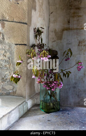 A bunch of dying flowers in a glass vase. Stock Photo