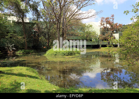 Lake and museum building, Sigiriya, Central Province, Sri Lanka, Asia Stock Photo