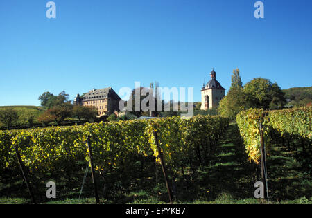 DEU, Germany, Rheingau, castle Vollrads in Oestrich-Winkel.  DEU, Deutschland, Rheingau, Schloss Vollrads in Oestrich-Winkel. Stock Photo