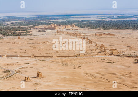 Palmyra as seen from Qal'at Ibn Maan Stock Photo