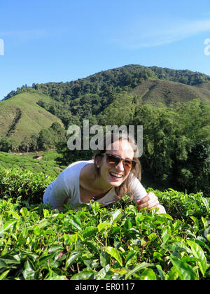 Tourist in a Tea plantation, Cameron Highlands, Pahang, Malaysia, Asia Stock Photo