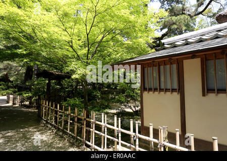 Japanese garden with old house and maple tree Stock Photo