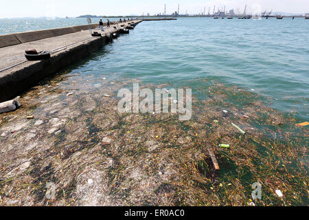 garbage floating in the sea Stock Photo