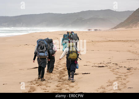 Bushwalkers along the Great Ocean Walk in Victoria, Australia. Stock Photo