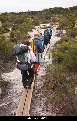 Bushwalkers along the Great Ocean Walk. Victoria, Australia. Stock Photo