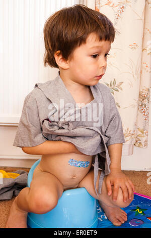 Young child, boy, 3-4 year old, sitting indoors on blue potty and holding shirt top up. Stock Photo