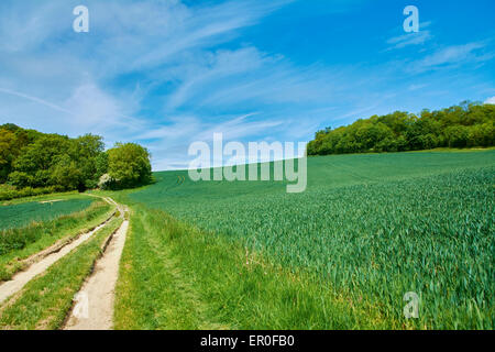Scenes from Malvern Hills in Worcestershire, UK Stock Photo