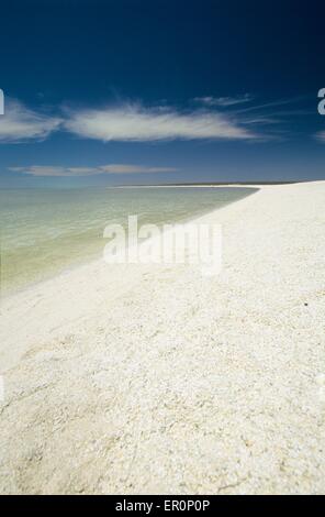 Australia, Western Australia, Shark bay, Haridon Bight, Shell Beach, beach composed only of small shells Fragum erugatum // Aust Stock Photo