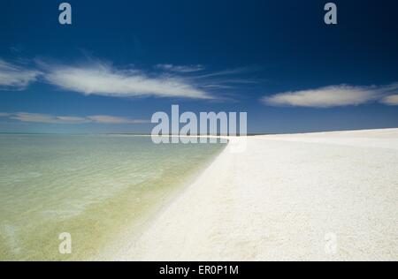 Australia, Western Australia, Shark bay, Haridon Bight, Shell Beach, beach composed only of small shells Fragum erugatum // Aust Stock Photo