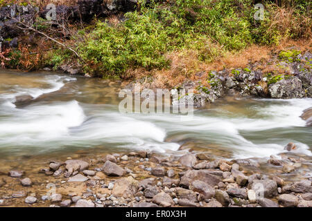 Mountain stream at Soni, Japan. Side view of a fast flowing water stream through sandy bed strewn with rocks. Silky water effect. Stock Photo