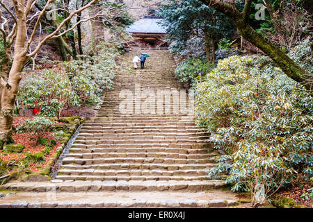 A long and wide flight of stone steps, called Yoroizaku, leading past rhododendrons up to the Heian period Kondo Hall at the Murou-ji temple, Japan. Stock Photo