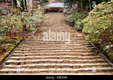 A long and wide flight of stone steps, called Yoroizaku, leading past rhododendrons up to the Heian period Kondo Hall at the Murou-ji temple, Japan. Stock Photo