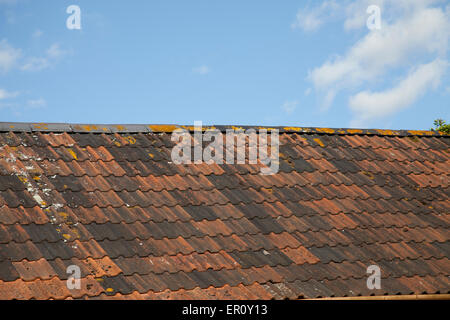 Multi coloured Roman tiles on an English roof, set against a blue sky Stock Photo