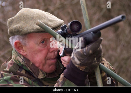 Duff Hart-Davis deer stalking with his gun dog and using an elevated tree platform.a UK shoot shooting'blood sports'venison Stock Photo