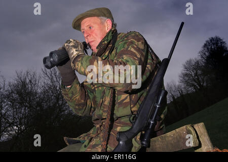 Duff Hart-Davis deer stalking with his gun dog and using an elevated tree platform.a UK shoot shooting'blood sports'venison Stock Photo