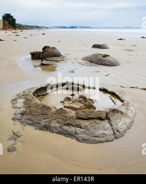 60 million year old giant ball shaped boulder on the beach at Moeraki South  Island New Zealand Stock Photo - Alamy