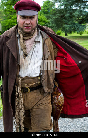 Tyntesfield, UK. 24th May 2015. Re-enactment actor pretending to be a poacher with a pheasant under his jacket Credit:  Paul Smith/Alamy Live News Stock Photo