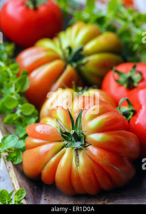 Tomatoes variety 'Cuore di Bue' Stock Photo