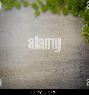 Abstract natural backgrounds with birch foliage against concrete wall Stock Photo