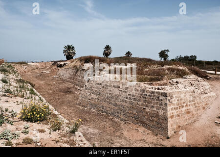 Apollonia National Park, Israel. 24th May, 2015. The south-eastern corner of the Crusader town Arsouf (as named under Crusader rule) displays the surrounding wall and moat. Apollonia National Park, named after the god Apollo, is located on a cliff named Tel Arshaf overlooking the Mediterranean, north of Tel-Aviv. Founded by the Phoenicians in the Persian Period (6th century BCE) it was conquered from the Muslims by the Crusaders in 1191 CE. The fortress was built in 1241 CE dominating the harbor. The Crusader city was walled and surrounded by a moat. Credit:  Nir Alon/Alamy Live News Stock Photo