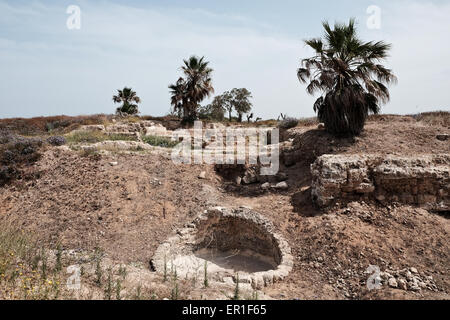 Apollonia National Park, Israel. 24th May, 2015. Apollonia National Park, named after the god Apollo, is located on a cliff named Tel Arshaf overlooking the Mediterranean, north of Tel-Aviv. Founded by the Phoenicians in the Persian Period (6th century BCE) it was conquered from the Muslims by the Crusaders in 1191 CE. The fortress was built in 1241 CE dominating the harbor. The Crusader city was walled and surrounded by a moat. Credit:  Nir Alon/Alamy Live News Stock Photo