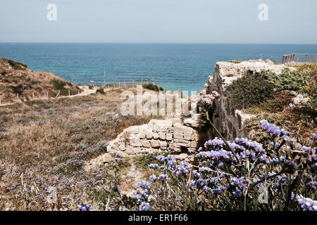 Apollonia National Park, Israel. 24th May, 2015. Apollonia National Park, named after the god Apollo, is located on a cliff named Tel Arshaf overlooking the Mediterranean, north of Tel-Aviv. Founded by the Phoenicians in the Persian Period (6th century BCE) it was conquered from the Muslims by the Crusaders in 1191 CE. The fortress was built in 1241 CE dominating the harbor. The Crusader city was walled and surrounded by a moat. Credit:  Nir Alon/Alamy Live News Stock Photo