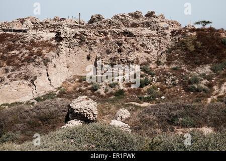 Apollonia National Park, Israel. 24th May, 2015. Apollonia National Park, named after the god Apollo, is located on a cliff named Tel Arshaf overlooking the Mediterranean, north of Tel-Aviv. Founded by the Phoenicians in the Persian Period (6th century BCE) it was conquered from the Muslims by the Crusaders in 1191 CE. The fortress was built in 1241 CE dominating the harbor. The Crusader city was walled and surrounded by a moat. Credit:  Nir Alon/Alamy Live News Stock Photo