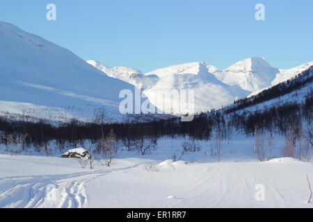 Snow covered mountains and trees, Dapmotjavri, Norway Stock Photo