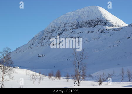 Snow covered mountains and trees, Dapmotjavri, Norway Stock Photo