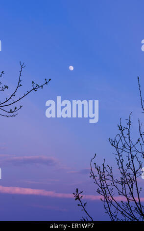Purple Sky Stock Photo