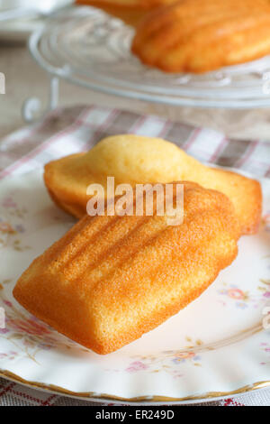 Madeleines or petite madeleine a traditional cake from the Lorraine region of France Stock Photo