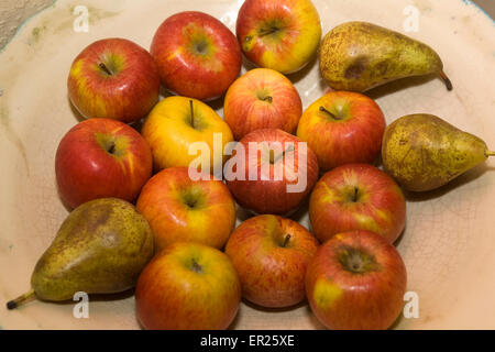 Europe, Germany, bowl with apples and pears.  Europa, Deutschland, Schale mit Aepfeln und Birnen. Stock Photo