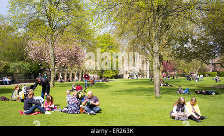 Family and other groups relaxing on Bank Holiday Monday, 2015, in Dean's Park, York, Yorkshire, England Stock Photo