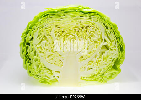 Fresh and green cabbage cut in half Stock Photo