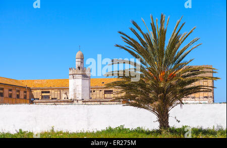 Abandoned buildings with mosque near the avenue Mohammed VI in Tangier city, Morocco Stock Photo