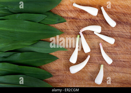 wild garlic Allium tricoccum on wood background Stock Photo