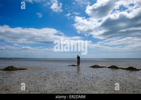 A man digs for worms to use as fishing bait on Worthing beach. Stock Photo