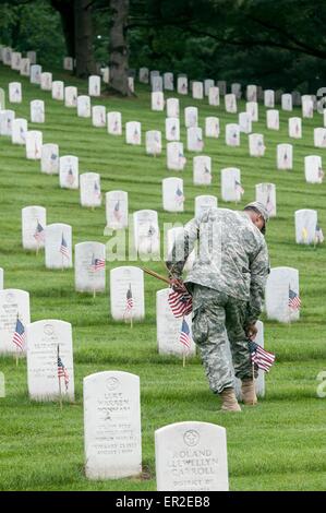 A US Army soldier from the Old Guard places flags in front of grave sites in honor of Memorial Day at Arlington National Cemetery May 21, 2015 in Arlington, Virginia. The Old Guard has conducted Flags-in, when an American flag is placed at every headstone, since 1948. Stock Photo