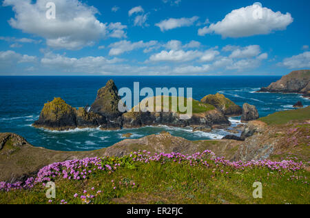 Kynance Cove, Cornwall, UK Stock Photo