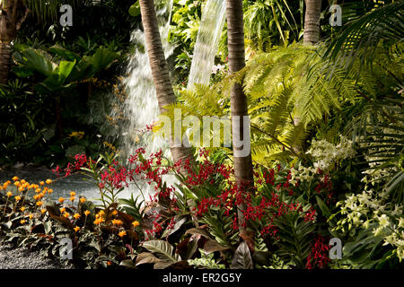 The Hidden Beauty of Kranji Garden by Esmond Landscape and Uniseal at the RHS Chelsea Flower Show 2015. Stock Photo