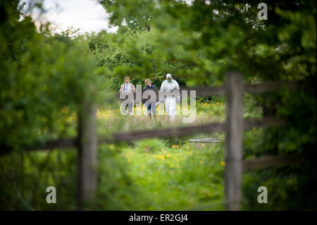 Police and forensics team at crime scene in woodland Stock Photo