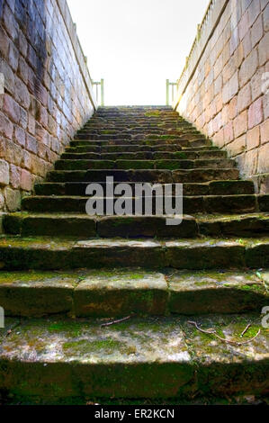 Fountains Abbey, one of the largest ruined Cistercian monasteries in England, World Heritage Site,  Ripon North Yorkshire UK GB Stock Photo