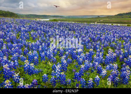 Turkey Bend Recreation Area, Texas. Turkey Bend is on the Colorado River in southeastern Burnet County. Stock Photo