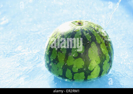 Watermelon in the water Stock Photo