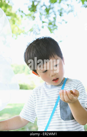 Japanese young boy with butterfly net in a city park Stock Photo
