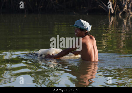 Fisherman In the shallow mud flat waters of Liloan,Cebu Stock Photo